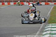 _DSC4631 copie